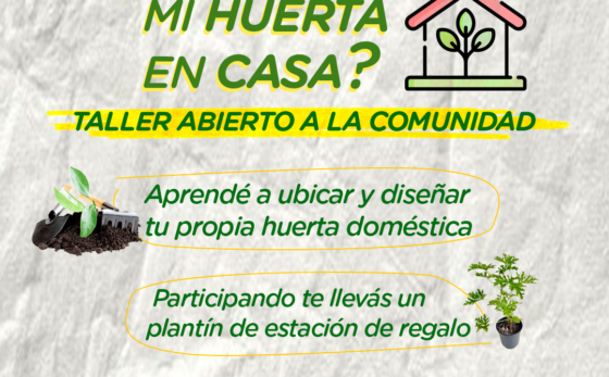 ‘¿Cómo iniciar mi huerta en casa?’: Taller abierto a la comunidad en el Parque Ambiental