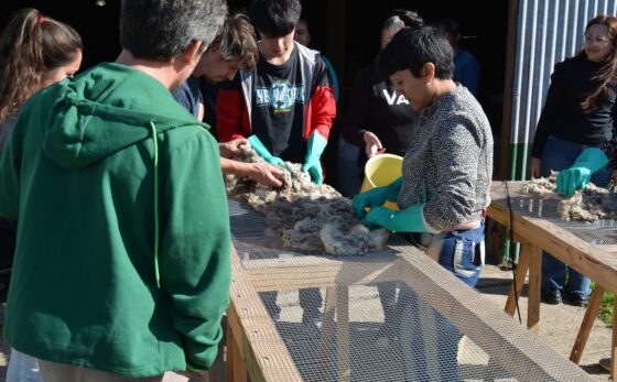 Comenzó la capacitación ‘Usos de la lana de oveja: acondicionamiento, elaboración e instalación de aislantes térmicos’