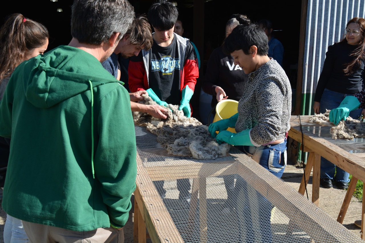 Comenzó la capacitación ‘Usos de la lana de oveja: acondicionamiento, elaboración e instalación de aislantes térmicos’